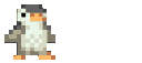 penguin1