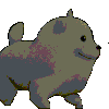 shiba_dance