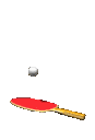 pong