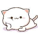 White cat resting its head on its paw with a thoughtful expression.