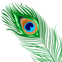 Peacock feather with a prominent blue and gold eye pattern against a black background.
