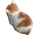 :727135a:
