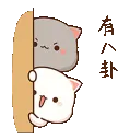cute_cat_peek