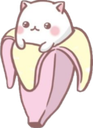 :cat_bananya: