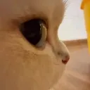 emoji_13