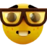 nerd_