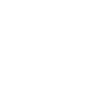 Elsiecum