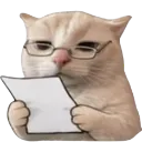 CatNotes