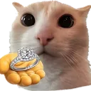 GivesRing