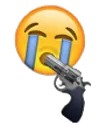 KMS_21