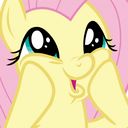:flutter_squee: