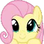 :flutter: