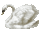 13_swan