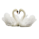 13_swans