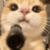 handsup_aeliisa animated Discord emote from aeliisa world