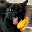 Hehedelicia