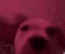 4_glizzydog animated GIF emoji from ノtype · chat · vc · giveaways · social · chill