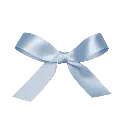 0191_blue_ribbon