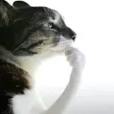 hmmm