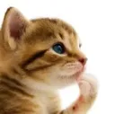 mmm