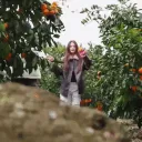 hAnadanceDNS