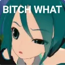 did_you_sai_bitch