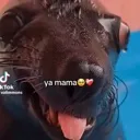 emoji_4