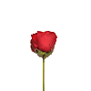 emoji_345