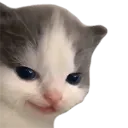 emoji_356