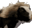 emoji_362