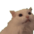 emoji_363