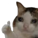 emoji_365