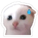 emoji_3 Discord sticker from SakuraX