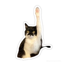 emoji_4 Discord Emoji - SakuraX
