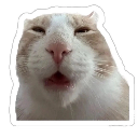 emoji_6 Discord sticker from SakuraX