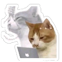 emoji_9 Discord sticker from SakuraX