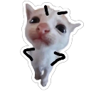 emoji_11 Discord sticker from SakuraX