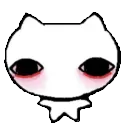 x_cat_stare