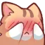 neko_embarrassed