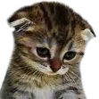 sad_sad