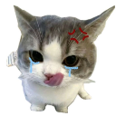:emoji_13: