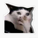 :emoji_13: