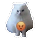 :emoji_16: