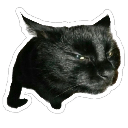 :emoji_17: