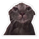 :emoji_18: