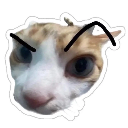 :emoji_19: