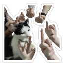 emoji_21 custom emote | ✧･ﾟ: ✧ 𝑺𝒕𝒂𝒓𝑬𝒏𝒕𝒆𝒓𝒏𝒂𝒍 ✧ :･ﾟ✧