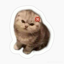:emoji_22: