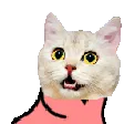 partyparrot