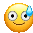 shake